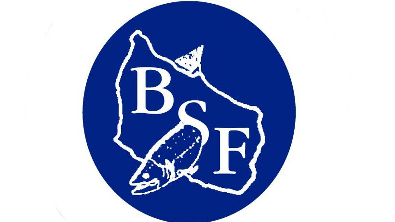 B.S.F. klistermærke logo.jpg