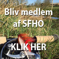 Bliv medlem af SFHO