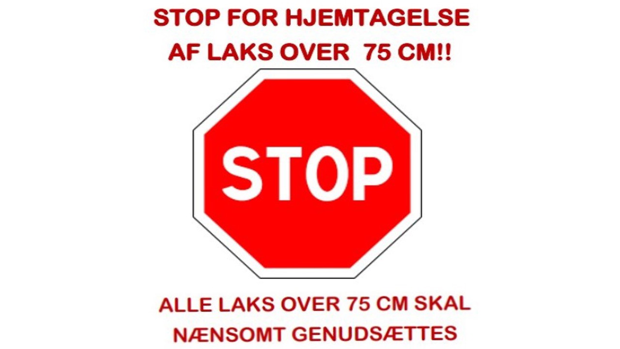 STOP For Laks 75+++