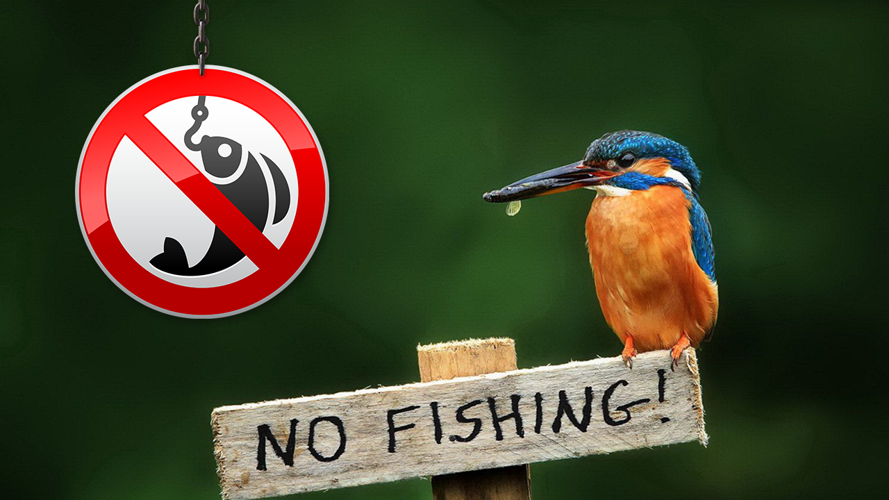No Fishing (3)