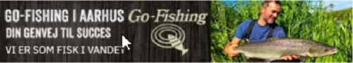 GO-Fishing